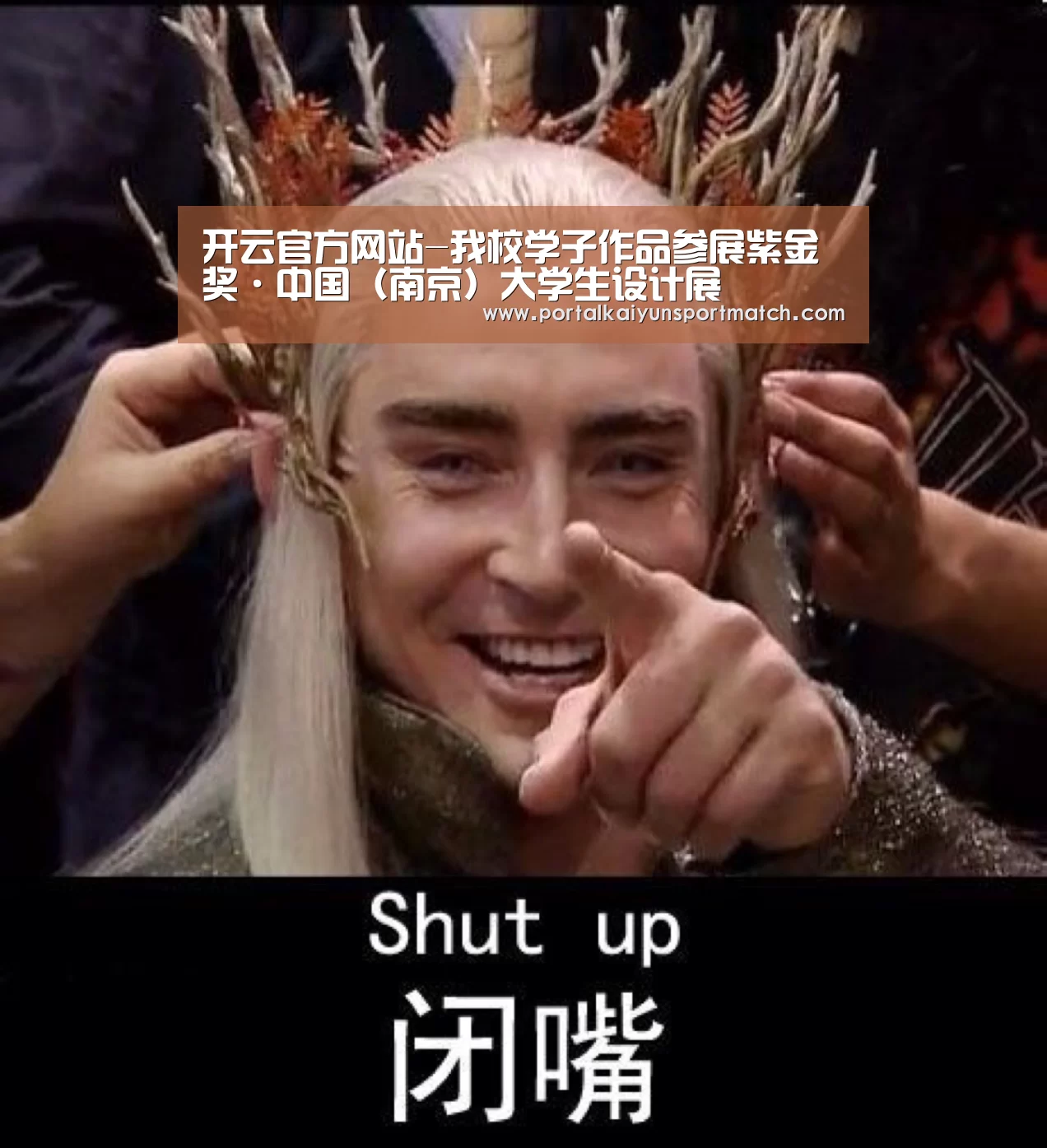开云官方网站