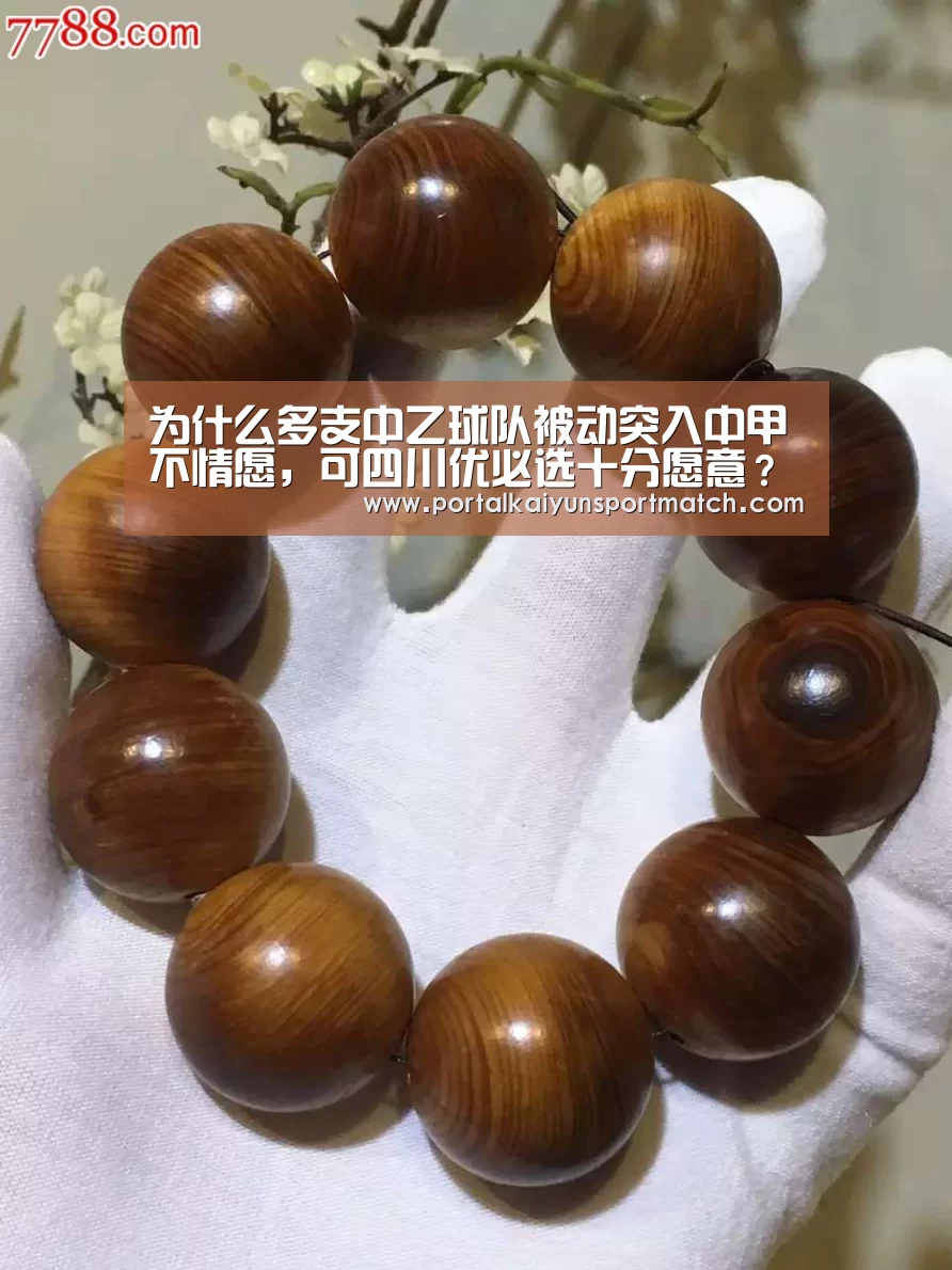 开云体育官网